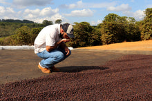 Load image into Gallery viewer, Raquel Ribeiro Aguiar - Fazenda Cerrado Grande - Blend - Natural