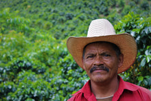 Load image into Gallery viewer, Juan Benitez - Finca La Vistada - Pacas - Washed

