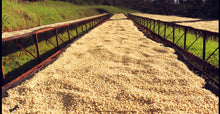 Load image into Gallery viewer, Several co-operatives - Smallholder farms - Ruiru, SL 28, Batian - Washed
