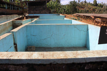 Load image into Gallery viewer, Kamacharia Farmers - Riakiberu - Ruiru 11, SL 28, Batian - Washed
